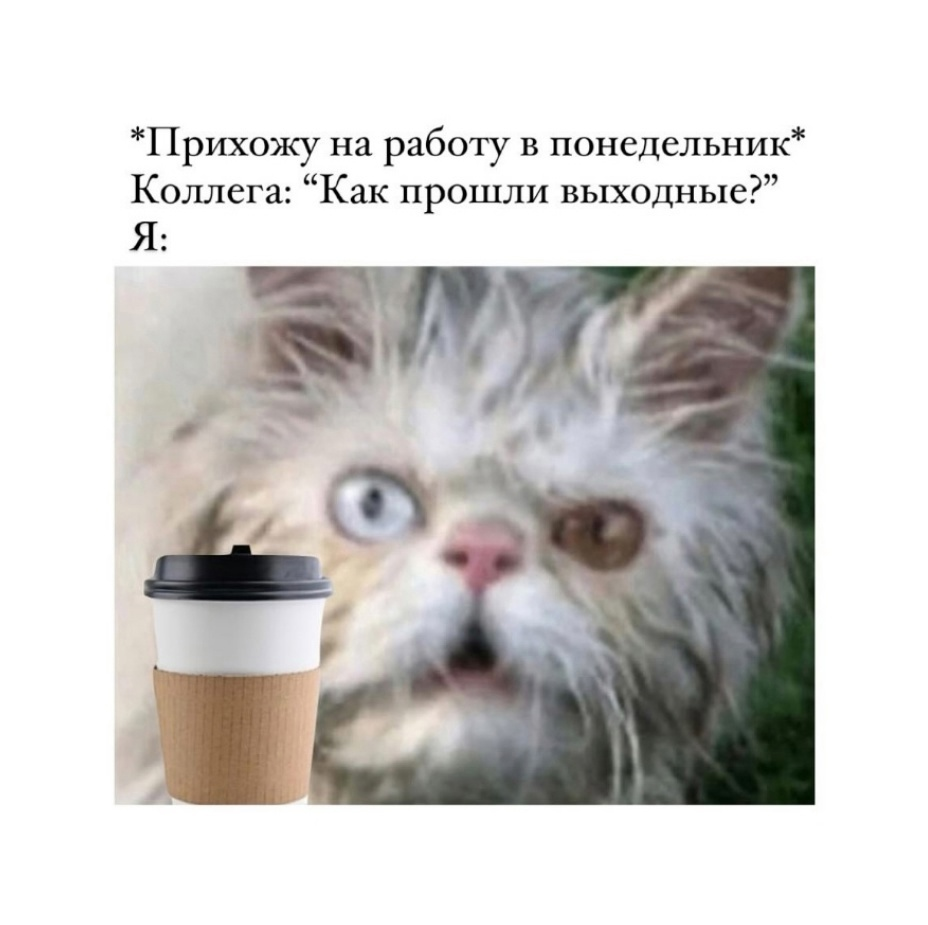 Всё стабильно 😦 | Сетка — социальная сеть от hh.ru