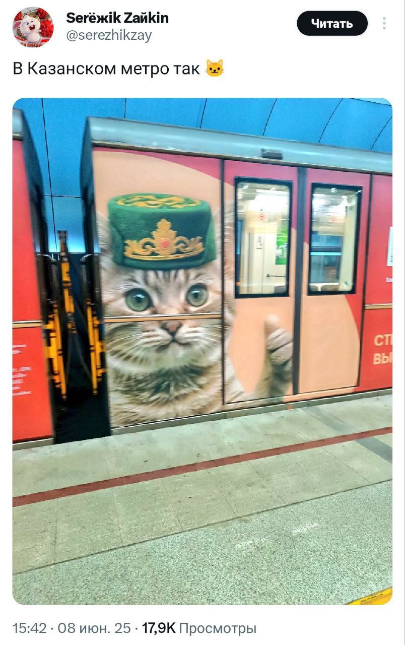 Котик из Казанского метро напоминает, что эта рабочая неделя трехдневная 👍 | Сетка — социальная сеть от hh.ru