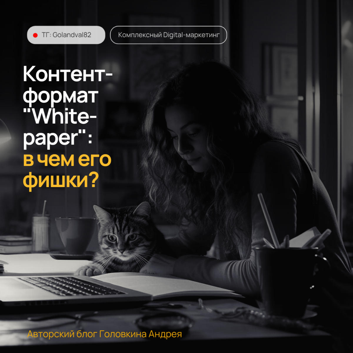 КОНТЕНТ-ФОРМАТ "WHITE-PAPER": РАЗБОР ПРЕИМУЩЕСТВ | Сетка — социальная сеть от hh.ru