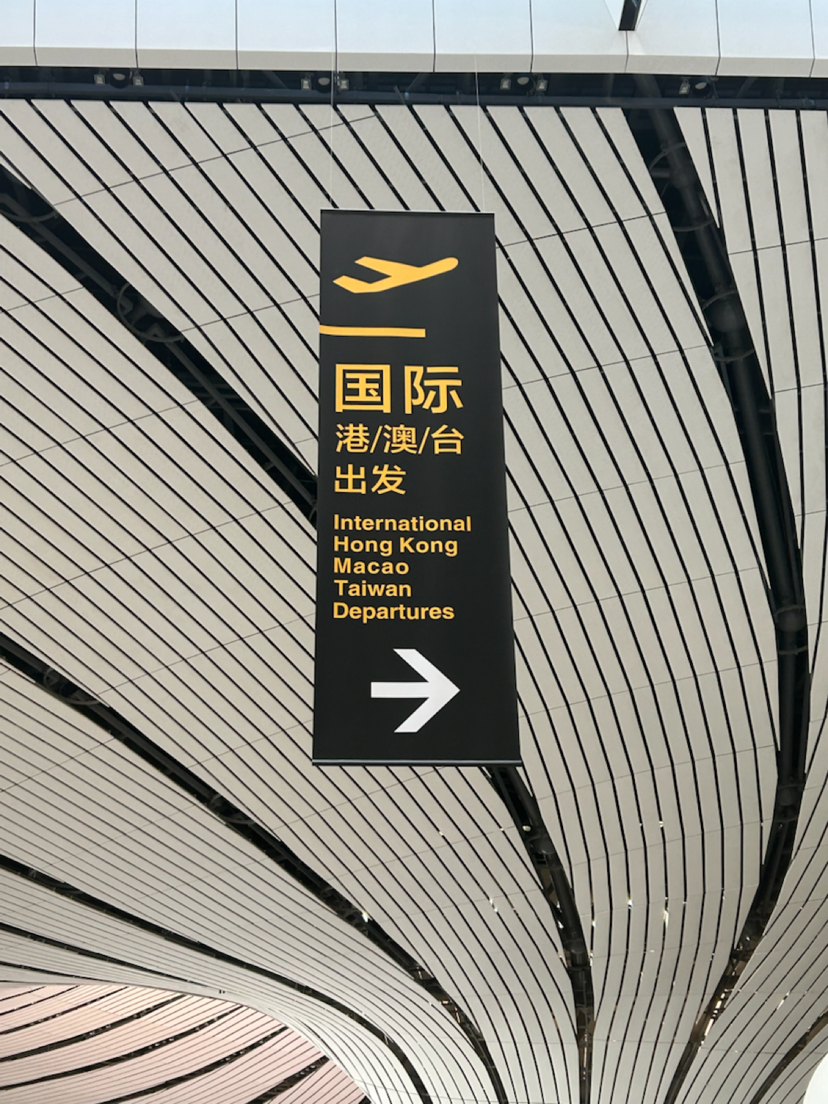 🇨🇳Командировка в Китай: войны с 3D и интерфейсами | Сетка — социальная сеть от hh.ru