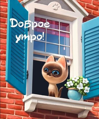 И чудесного дня! | Сетка — социальная сеть от hh.ru
