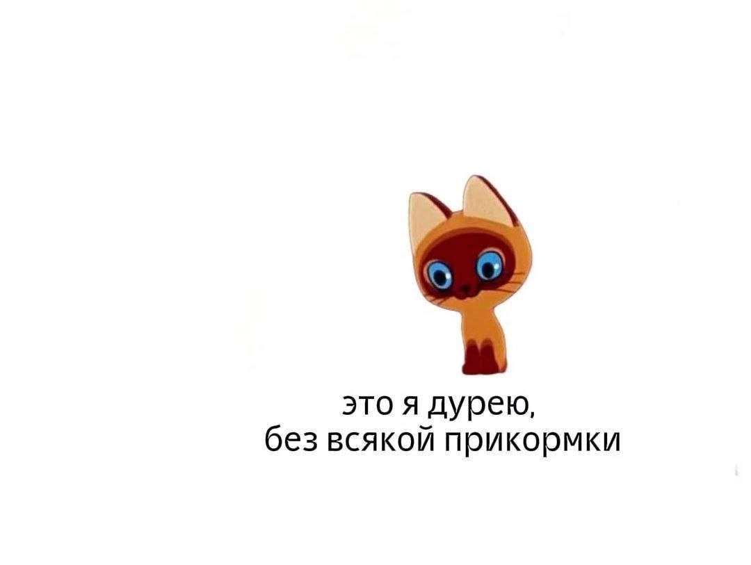 Дайте поучаствовать в вашем проекте 🥲 | Сетка — социальная сеть от hh.ru