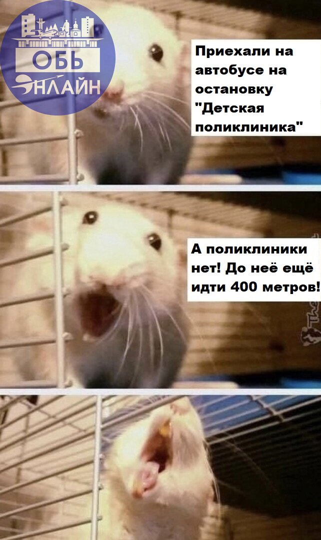 ↗ Ветклиника ближе
vk.com
Подробнее на https://vk.com/ob.gorod
#городобь #городобьонлайн #толмачево | Сетка — социальная сеть от hh.ru