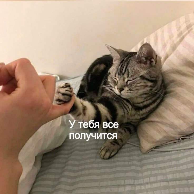 Мы это ждали. Мы этого боялись. Мы об этом тайно мечтали...
В Метрике появился Тег Менеджер. Суть как в Гугле | Сетка — социальная сеть от hh.ru