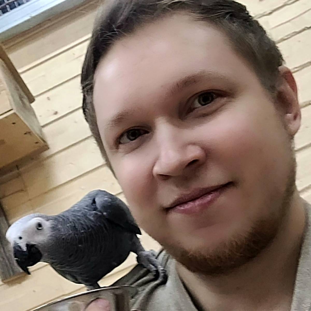 Владимир Дзюбанов