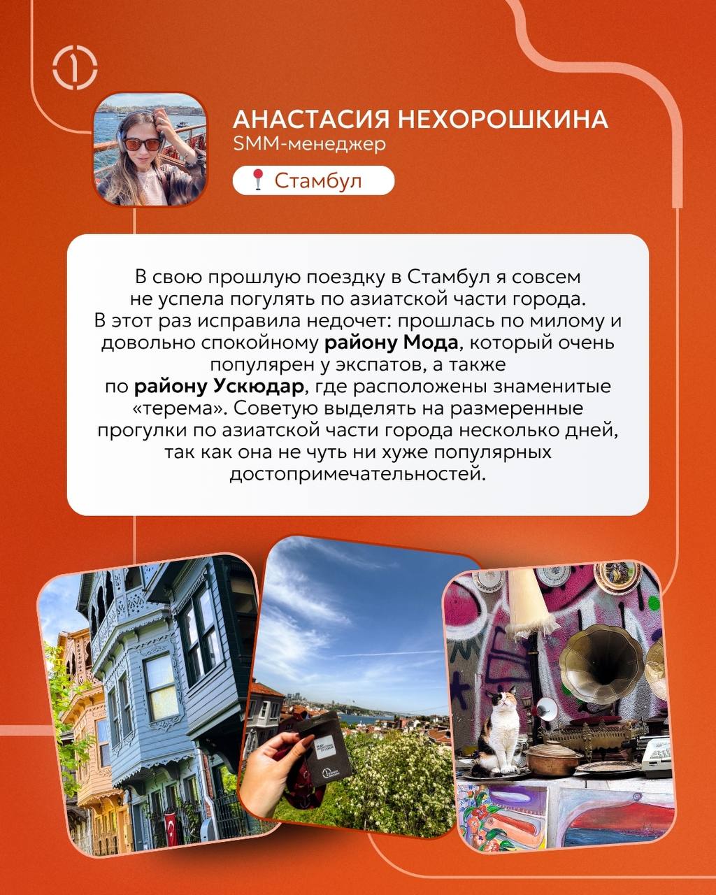 📍 Забег по миру: куда дороги привели наших коллег?
Волейбол в Сиде, трекинг по Ликийской тропе, Стамбульские котики, Египетские пирамиды, финальная точка Транссиба во Владивостоке и горы в Ингушетии —... | Сетка — социальная сеть от hh.ru