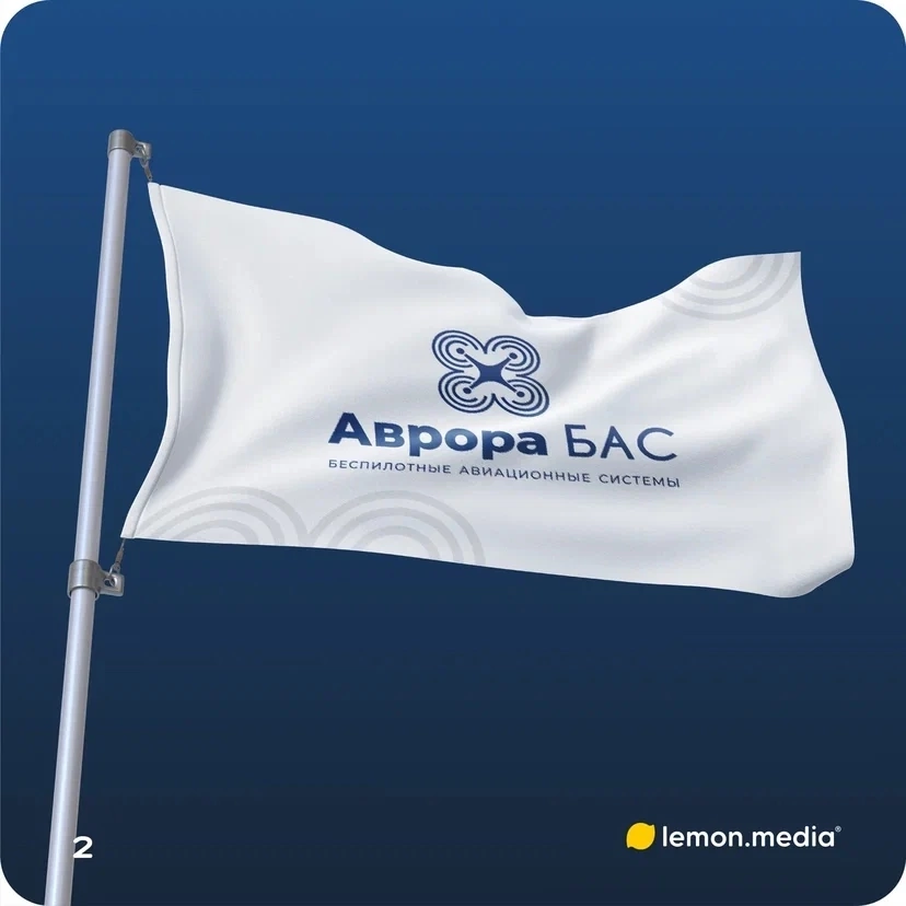 Логотип для компании «Аврора БАС» | Сетка — социальная сеть от hh.ru