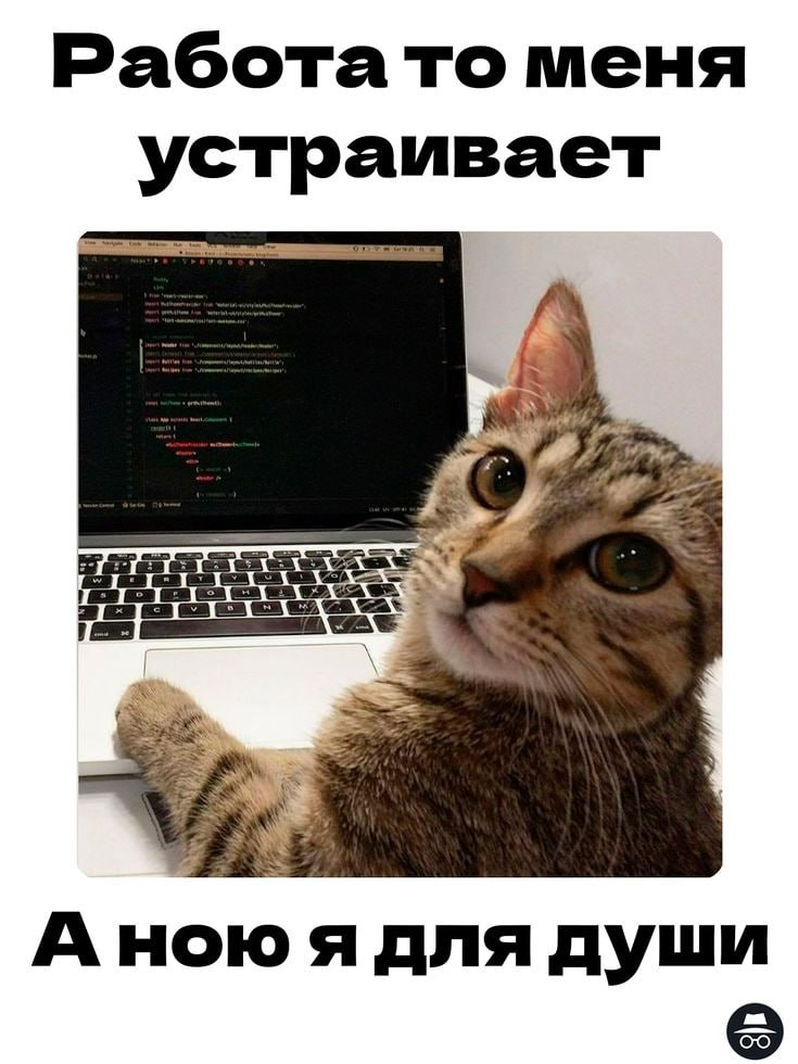 Какие проблемы взаимопонимания между бизнесом и соискателями | Сетка — социальная сеть от hh.ru