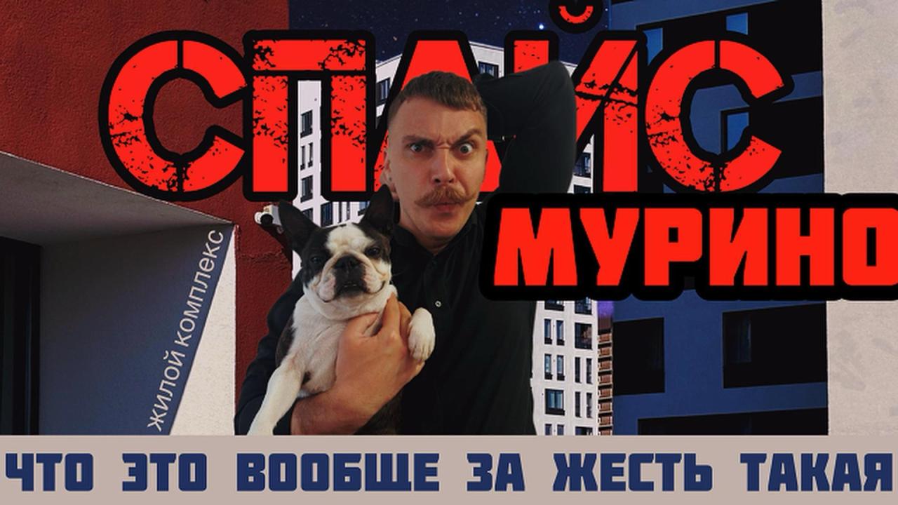 🤯 ЖК Спейс Мурино от ЦДС - когда само название намекает. НЕприкрашенный обзор, где рай заканчивается у подъезда!
⚠️ Смотри на моем канале: https://youtu | Сетка — социальная сеть от hh.ru