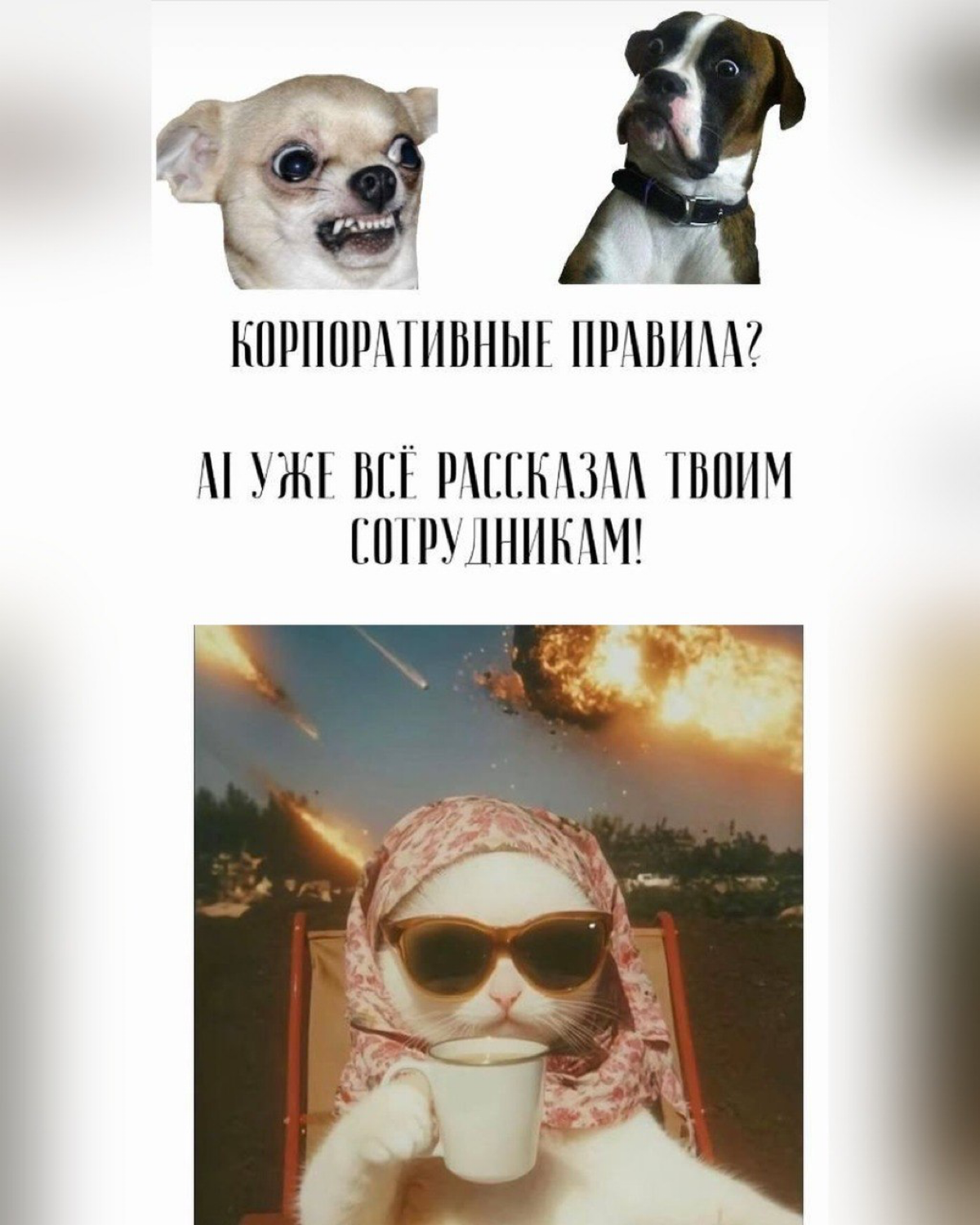 HR опять тупо слил 40 часов в неделю. Знаешь на что? | Сетка — социальная сеть от hh.ru
