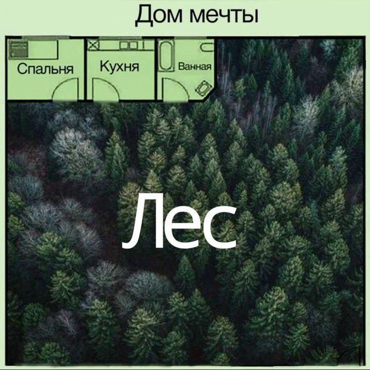 И никаких людей 😄 | Сетка — социальная сеть от hh.ru
