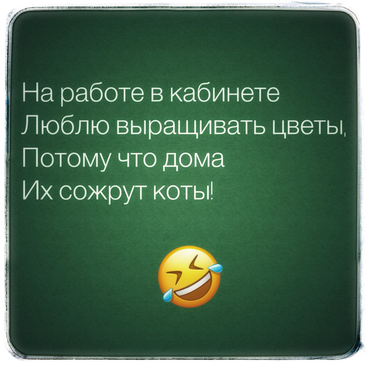 Корпоративные хобби | Сетка — социальная сеть от hh.ru