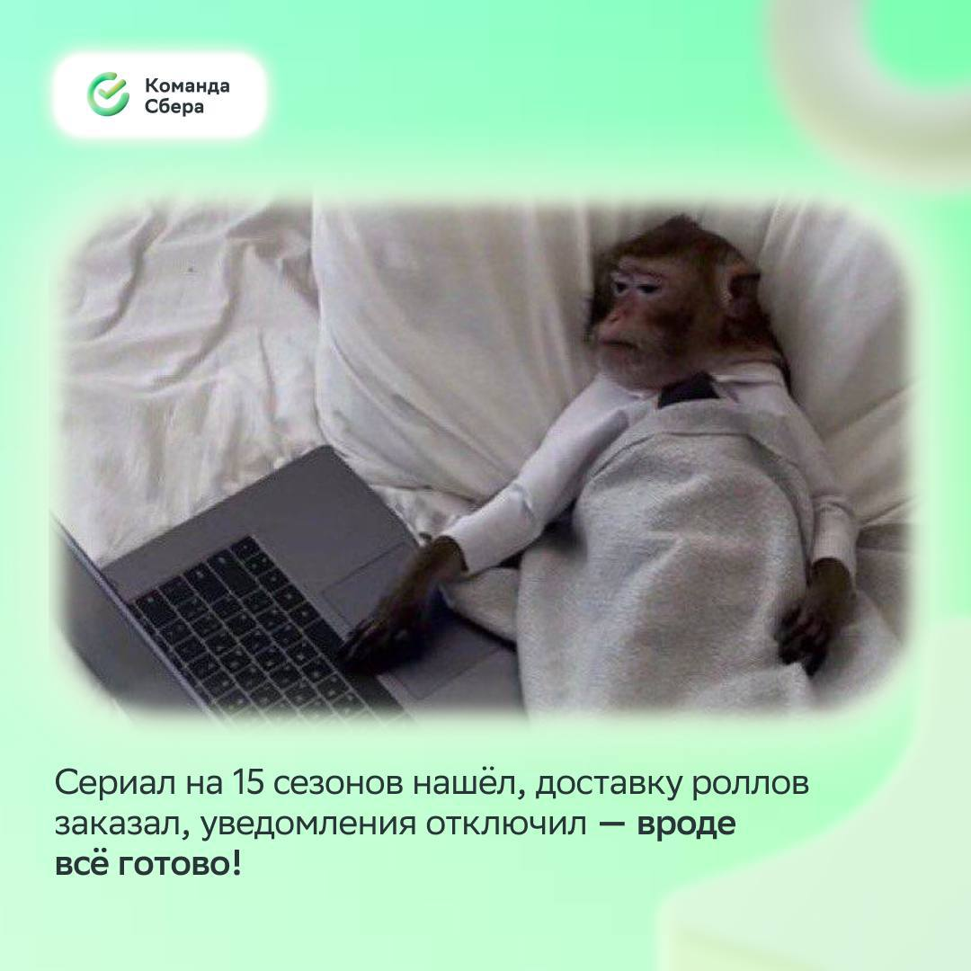 Улыбнись, среда уже наступила, впереди четыре выходных :)
Понаблюдали за настроением коллег перед июньскими и составили мемную подборку, в которой каждый найдёт себя и идеи для досуга | Сетка — социальная сеть от hh.ru