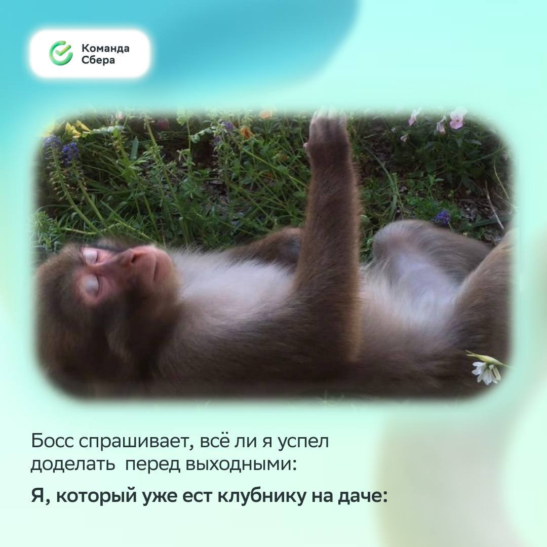 Улыбнись, среда уже наступила, впереди четыре выходных :)
Понаблюдали за настроением коллег перед июньскими и составили мемную подборку, в которой каждый найдёт себя и идеи для досуга | Сетка — социальная сеть от hh.ru