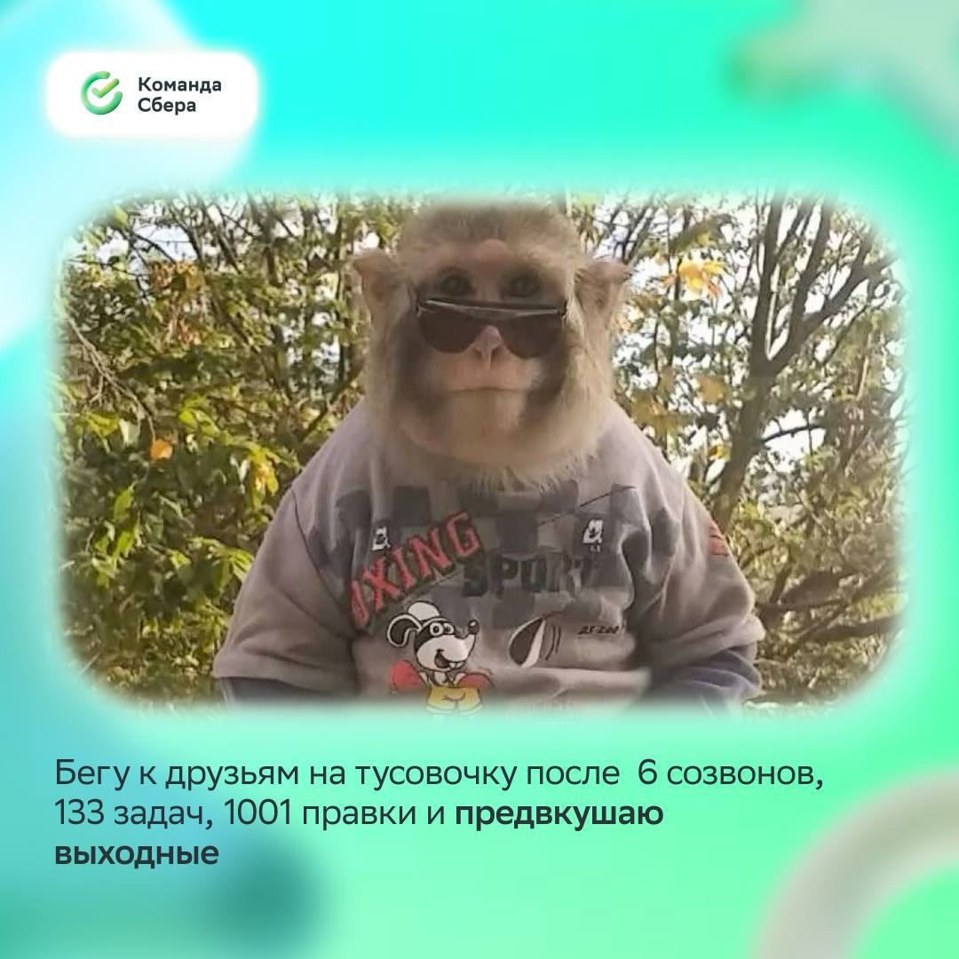 Улыбнись, среда уже наступила, впереди четыре выходных :)
Понаблюдали за настроением коллег перед июньскими и составили мемную подборку, в которой каждый найдёт себя и идеи для досуга | Сетка — социальная сеть от hh.ru