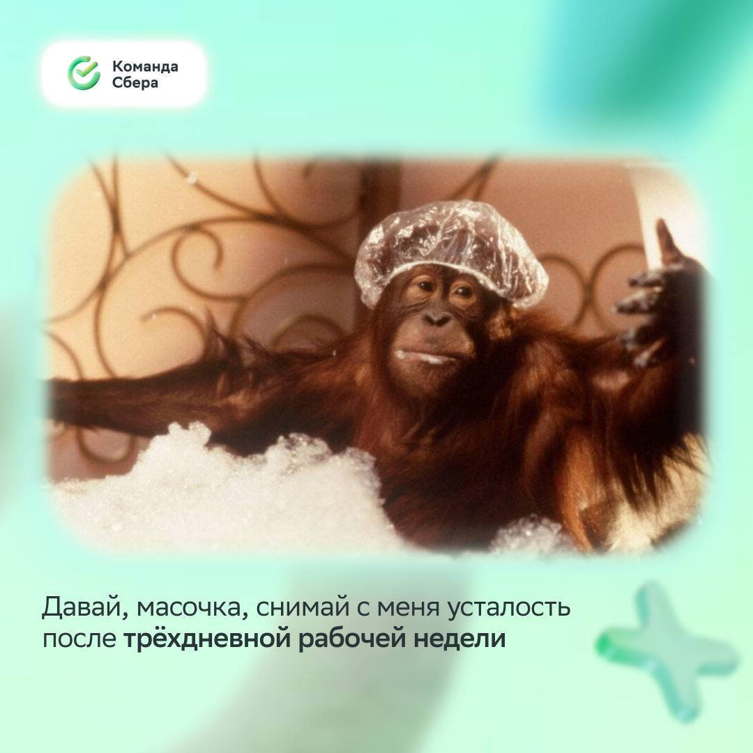 Улыбнись, среда уже наступила, впереди четыре выходных :)
Понаблюдали за настроением коллег перед июньскими и составили мемную подборку, в которой каждый найдёт себя и идеи для досуга | Сетка — социальная сеть от hh.ru