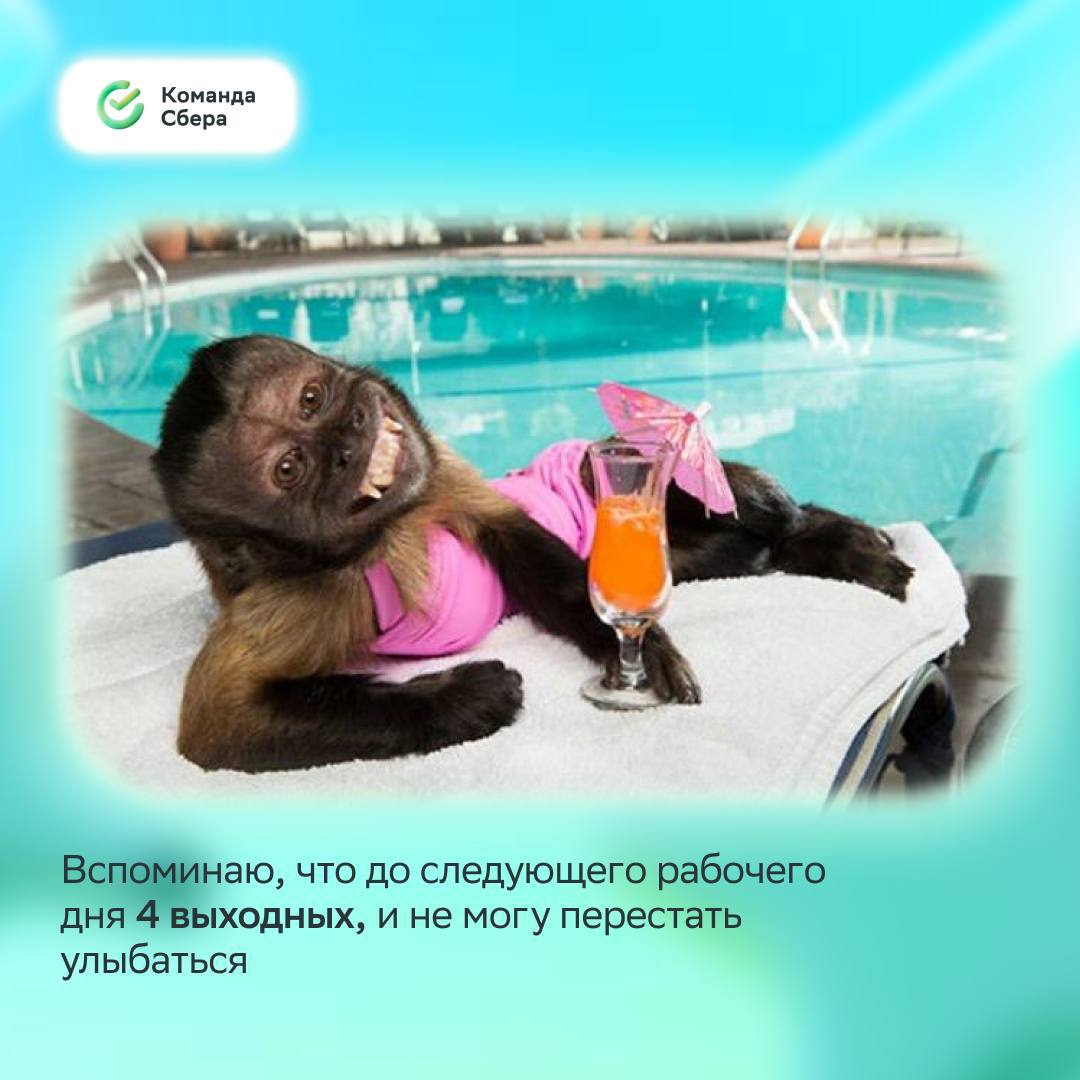 Улыбнись, среда уже наступила, впереди четыре выходных :)
Понаблюдали за настроением коллег перед июньскими и составили мемную подборку, в которой каждый найдёт себя и идеи для досуга | Сетка — социальная сеть от hh.ru