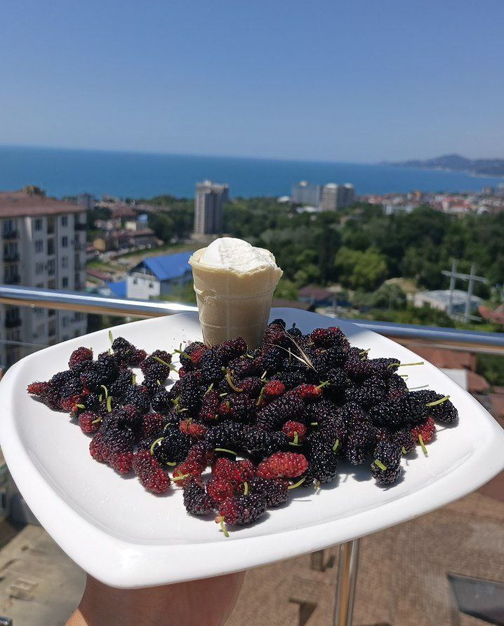 Тутовник, шелковица, тютина, тута — сюда🍒
Очень интересная ягодка, которую я впервые попробовал буквально на днях
И всё благодаря сторис: сначала одной подруги, потом другой, потом местных — все жрут ... | Сетка — социальная сеть от hh.ru