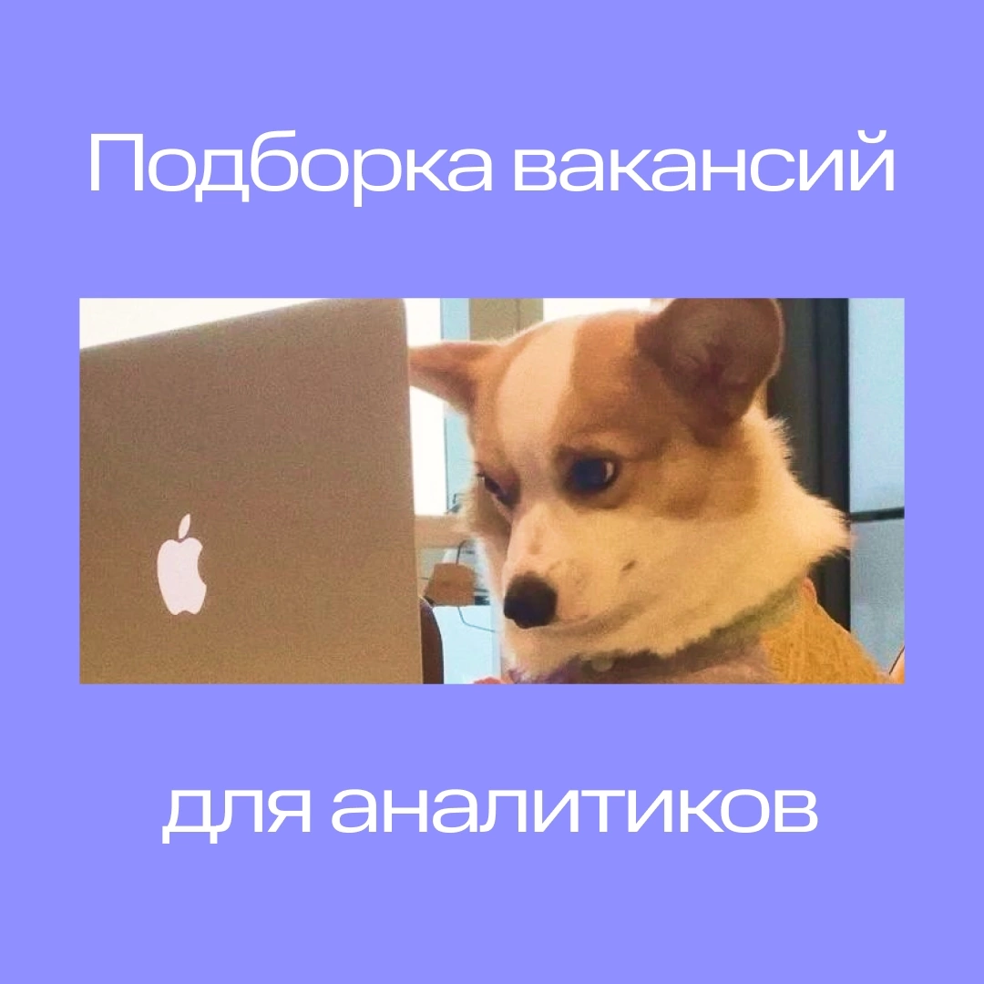 Предлагаем начать поиск работы здесь и сейчас 👀 | Сетка — социальная сеть от hh.ru