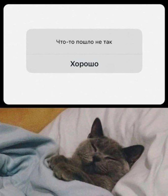 Сегодня пятница в среду 😀
Поэтому ловите пятничные #мемчики 😀 | Сетка — социальная сеть от hh.ru