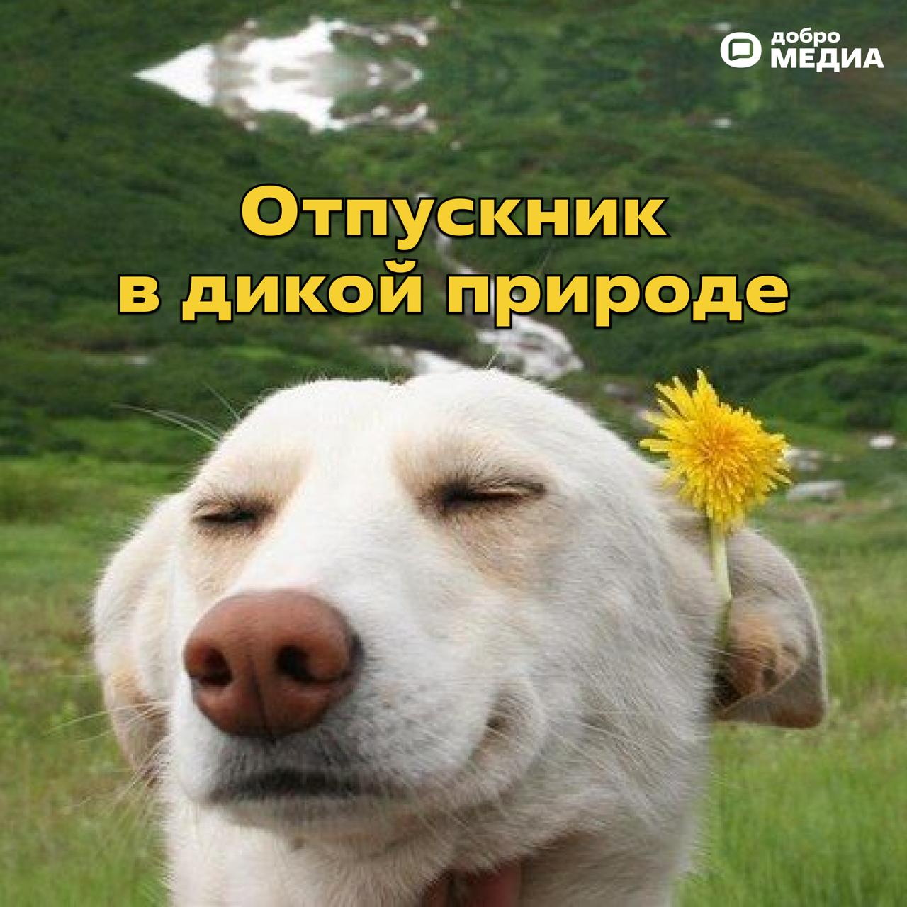 🌴 Впереди 4 дня выходных. В разгаре пора отпусков.
Самое время задуматься над тем, какую аватарку вы поставите, чтобы вас не беспокоили.
Ловите коллекцию от Добро | Сетка — социальная сеть от hh.ru