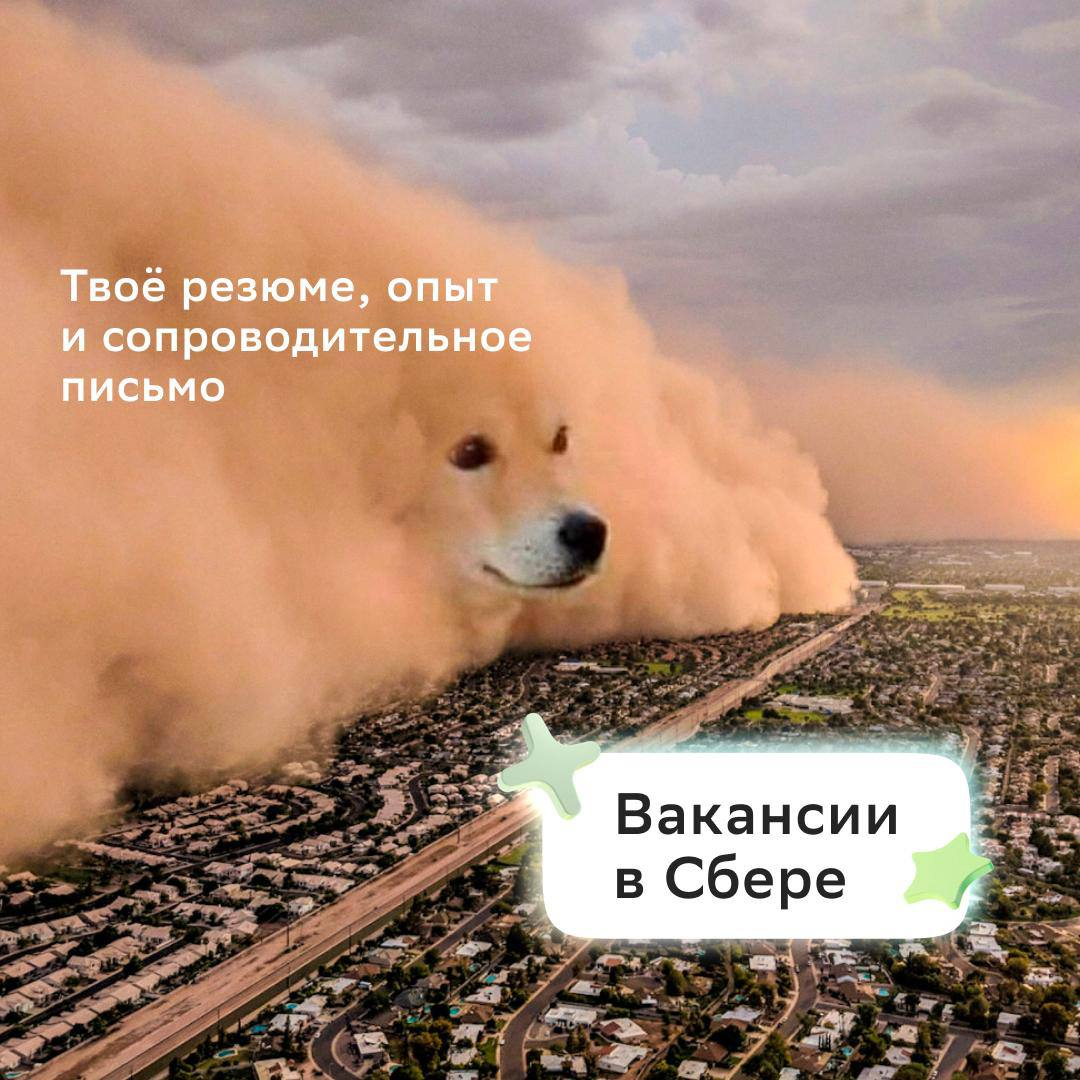 Мы уверены: ты слишком крутой специалист, чтобы перед тобой устояли наши вакансии 😏
Проверь свои силы прямо сейчас:
📌 Руководитель направления (брокерское подразделение): https://s.sber | Сетка — социальная сеть от hh.ru