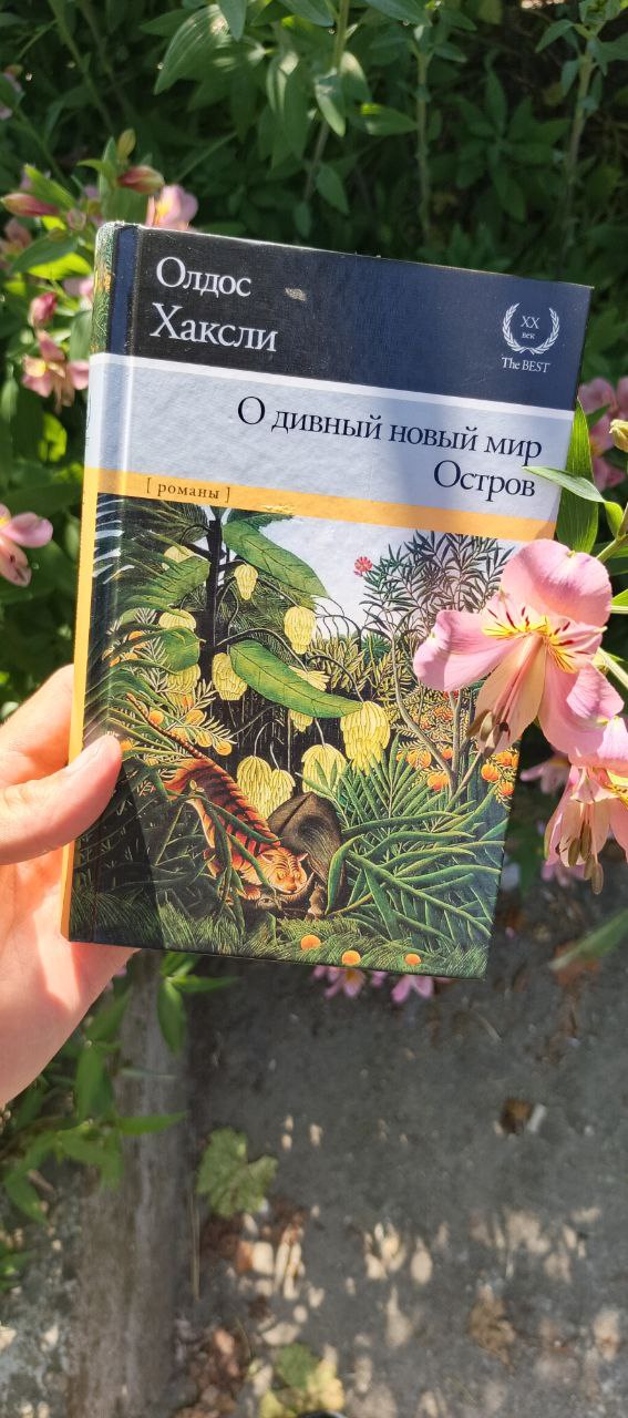 Хватит с меня психологии, я больше всего люблю... все же фантастические романы 😋
Закон божий у меня как «почистить зубы», утром и вечером по развороту, а тикитоки надо срочно заменять 😳 | Сетка — социальная сеть от hh.ru