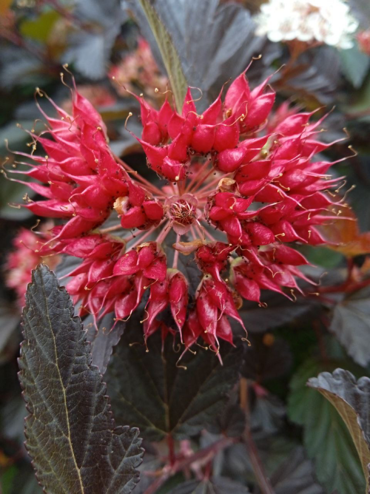 Настоящее всегда пленительно 💟 | Сетка — социальная сеть от hh.ru