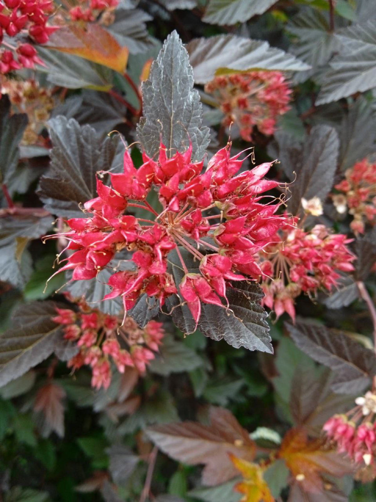 Настоящее всегда пленительно 💟 | Сетка — социальная сеть от hh.ru