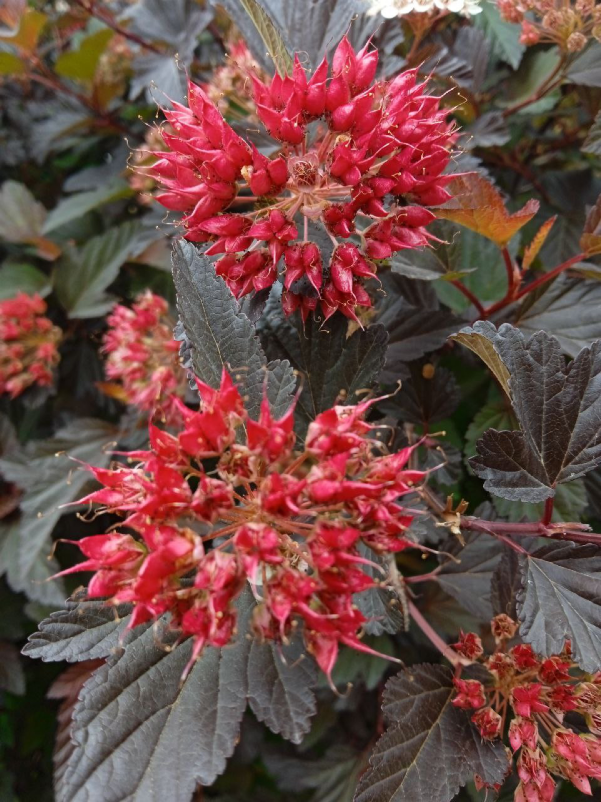 Настоящее всегда пленительно 💟 | Сетка — социальная сеть от hh.ru