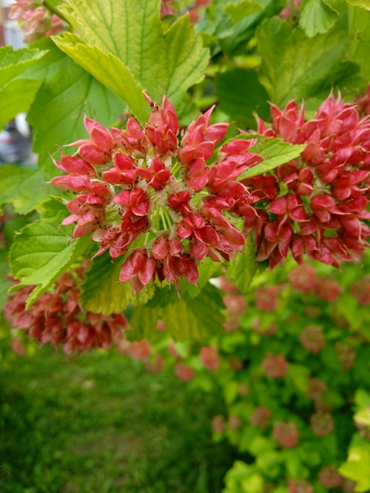 Настоящее всегда пленительно 💟 | Сетка — социальная сеть от hh.ru