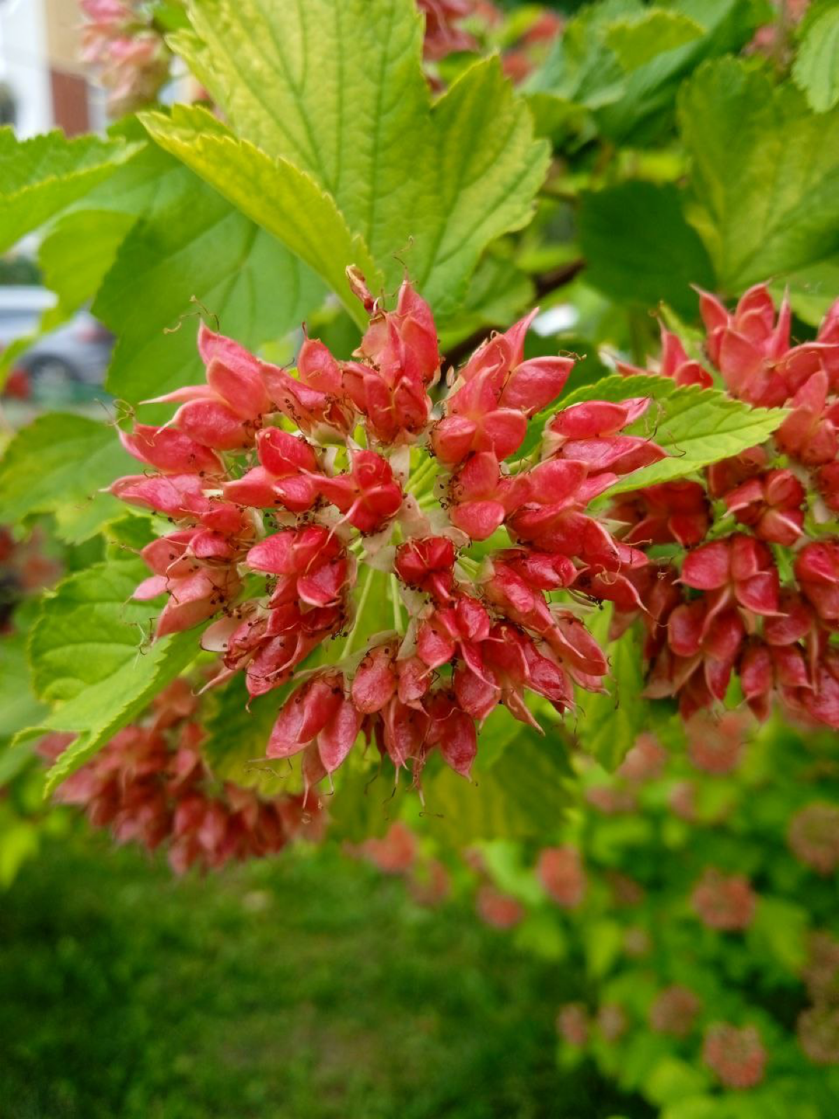 Настоящее всегда пленительно 💟 | Сетка — социальная сеть от hh.ru