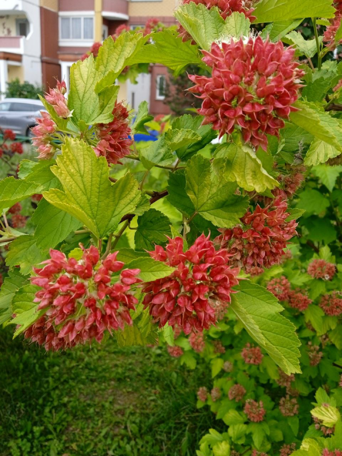 Настоящее всегда пленительно 💟 | Сетка — социальная сеть от hh.ru