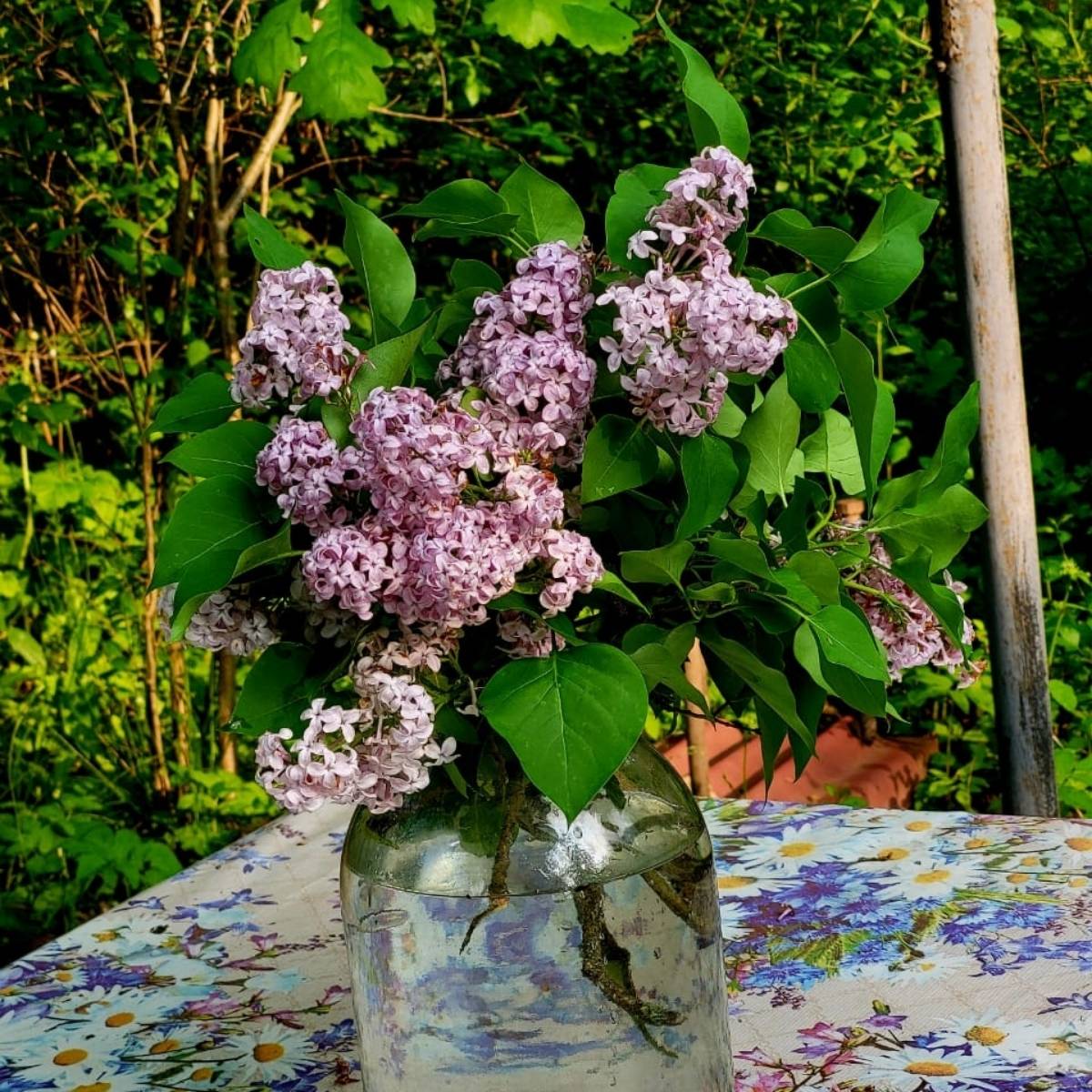 Татьяна Зайцева
