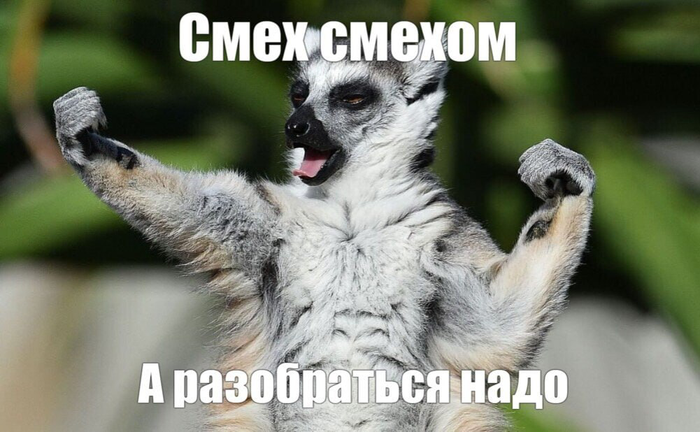 Методологус систематикус | Сетка — социальная сеть от hh.ru
