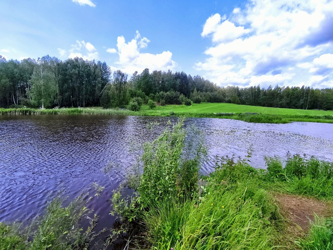 Приехав с щучьего водоёма на дачу, решил проверить местный водоём.
Подъем в 07.00, беру матч в надежде половить карасей.
Клев как с пулемёта, на червя, на опарыша | Сетка — социальная сеть от hh.ru