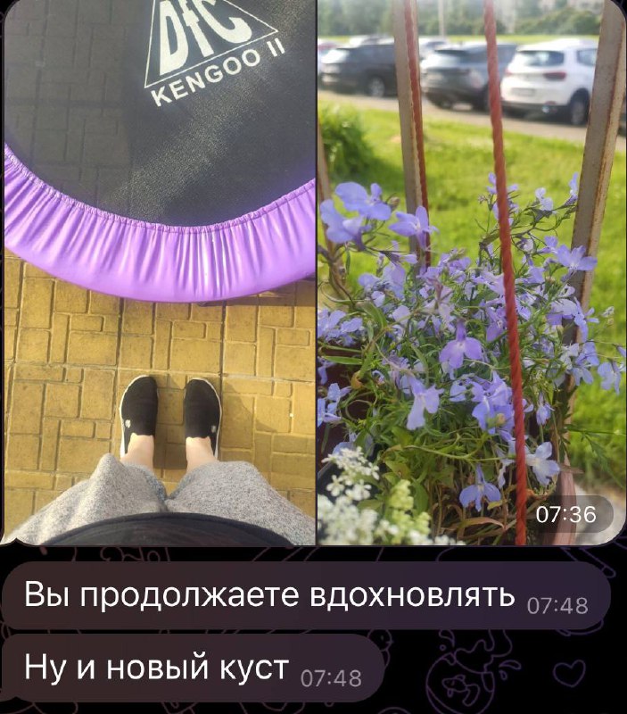 Я вынудила не только человека с гипсом, но и беременную женщину идти в ЗОЖ 😂
Стена почета, как положено 😍♥️
Очень кайфую от ваших многочисленных сообщений, даже от тех, кто без фото 🔥✨
Все молодцы и к... | Сетка — социальная сеть от hh.ru