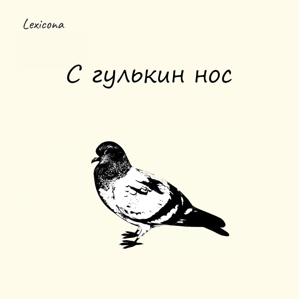 С гулькин нос
Гулька – это голубь по-древнерусски. Словами «гули-гули» мы до сих пор подзываем голубей, чтобы они поклевали рассыпанные для них крошки или семечки | Сетка — социальная сеть от hh.ru
