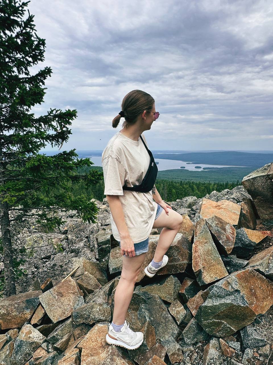 🌲🌲🌲 | Сетка — социальная сеть от hh.ru