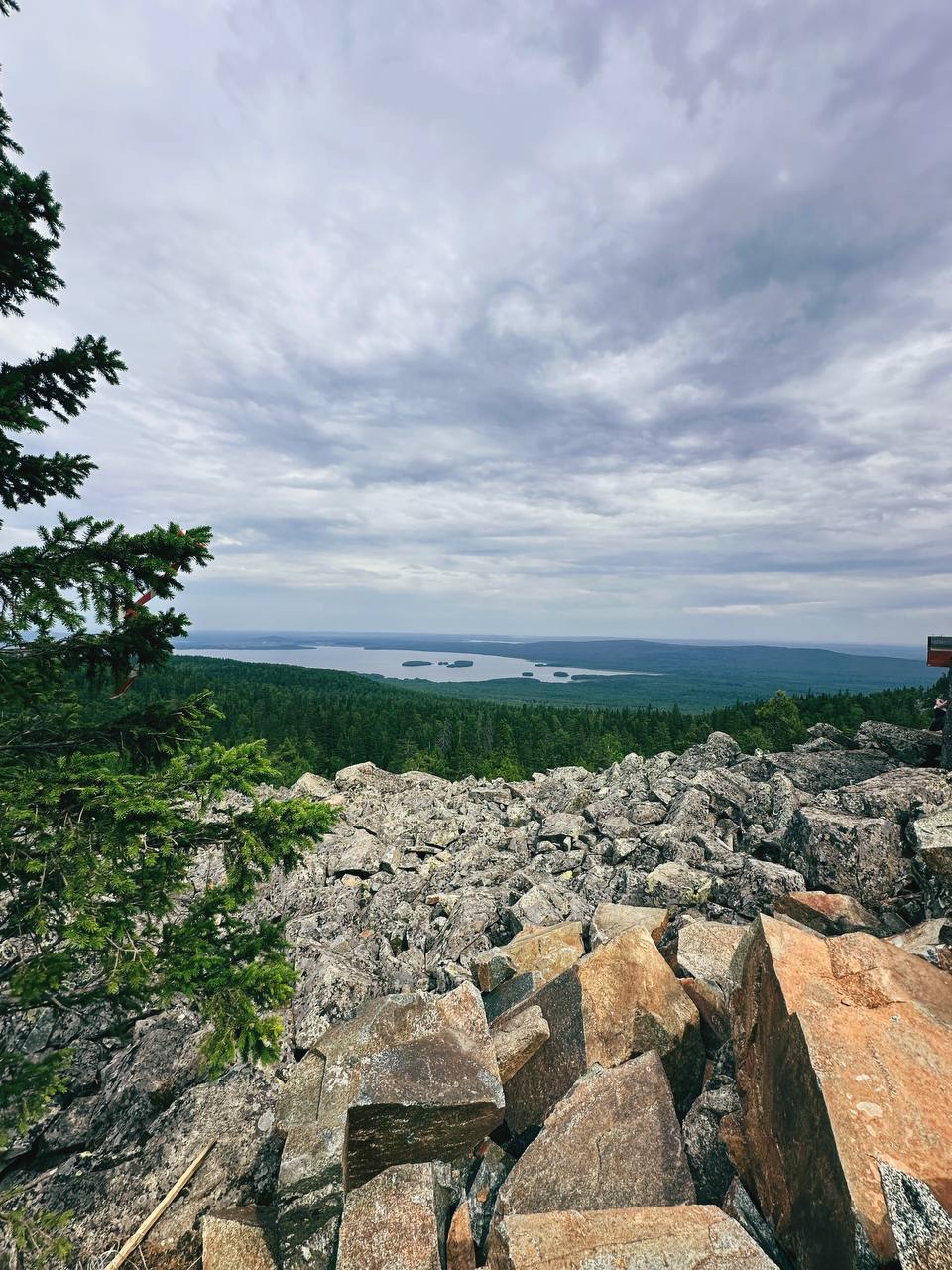 🌲🌲🌲 | Сетка — социальная сеть от hh.ru