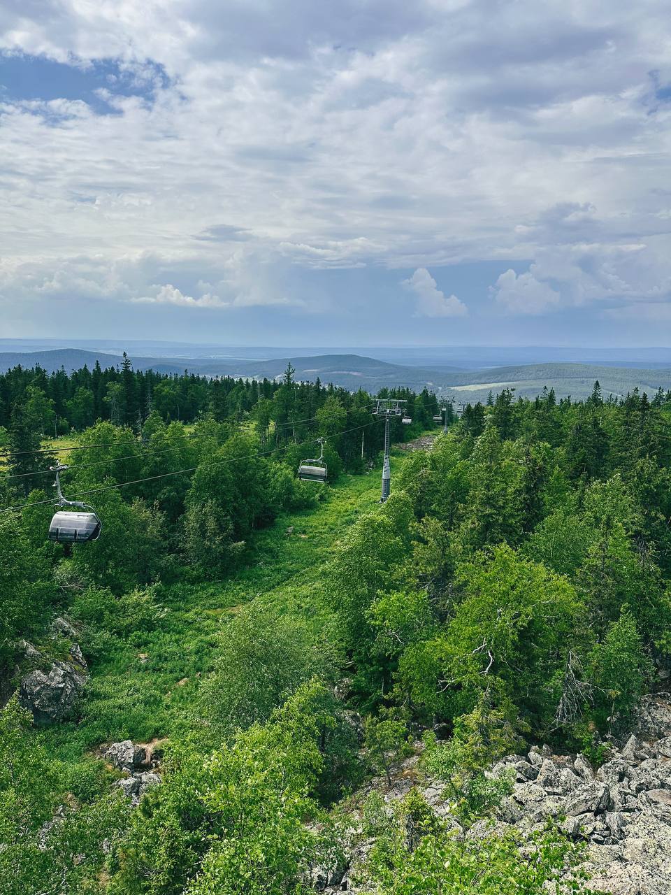 🌲🌲🌲 | Сетка — социальная сеть от hh.ru