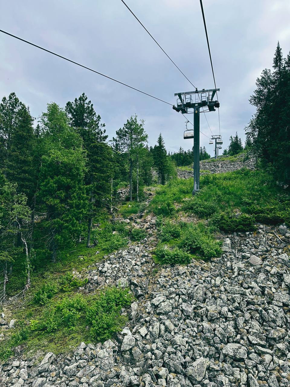 🌲🌲🌲 | Сетка — социальная сеть от hh.ru