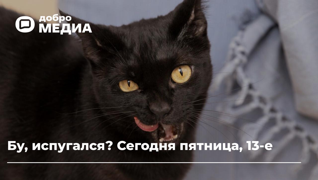 Бу, испугался? Сегодня пятница, 13-е
Именно этот день, согласно многим легендам, должен стать самым неудачным – пятница, 13-е. Дате посвящено немало фильмов-ужасов, страшных историй и примет | Сетка — социальная сеть от hh.ru