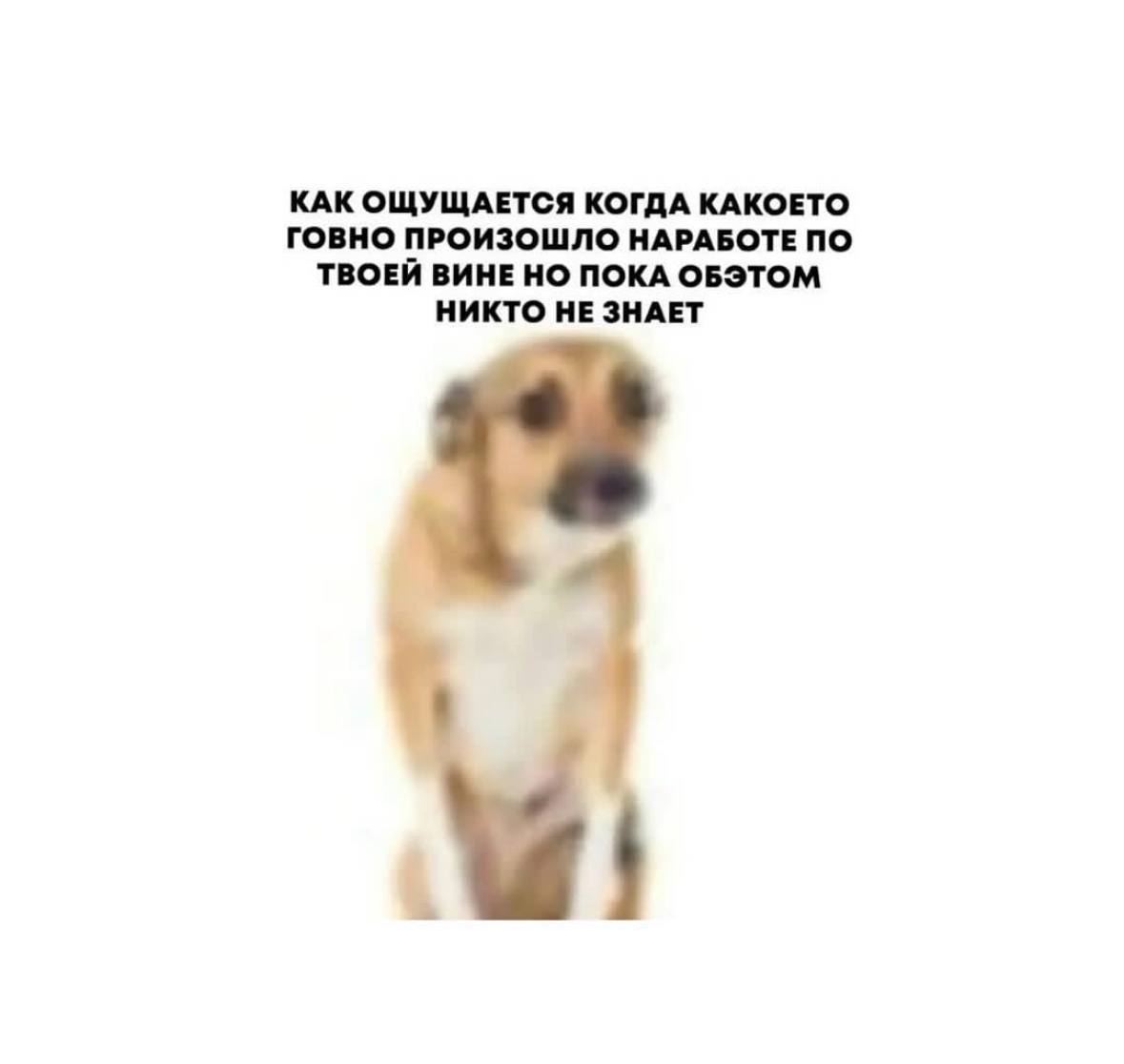 Как проходят ваши выходные? Не забывайте побольше смеяться и отдыхать 🔥 | Сетка — социальная сеть от hh.ru