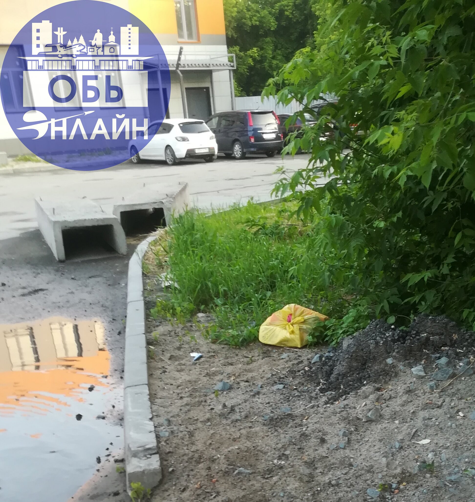 ↗ Люди покопайтесь в своей голове, найдите хоть одну работающую извилину и задумайтесь о том, что Вы творите. До площадки ТБО 50 м. Неужели сложно дойти и выбросить.
vk.com
Подробнее на https://vk | Сетка — социальная сеть от hh.ru