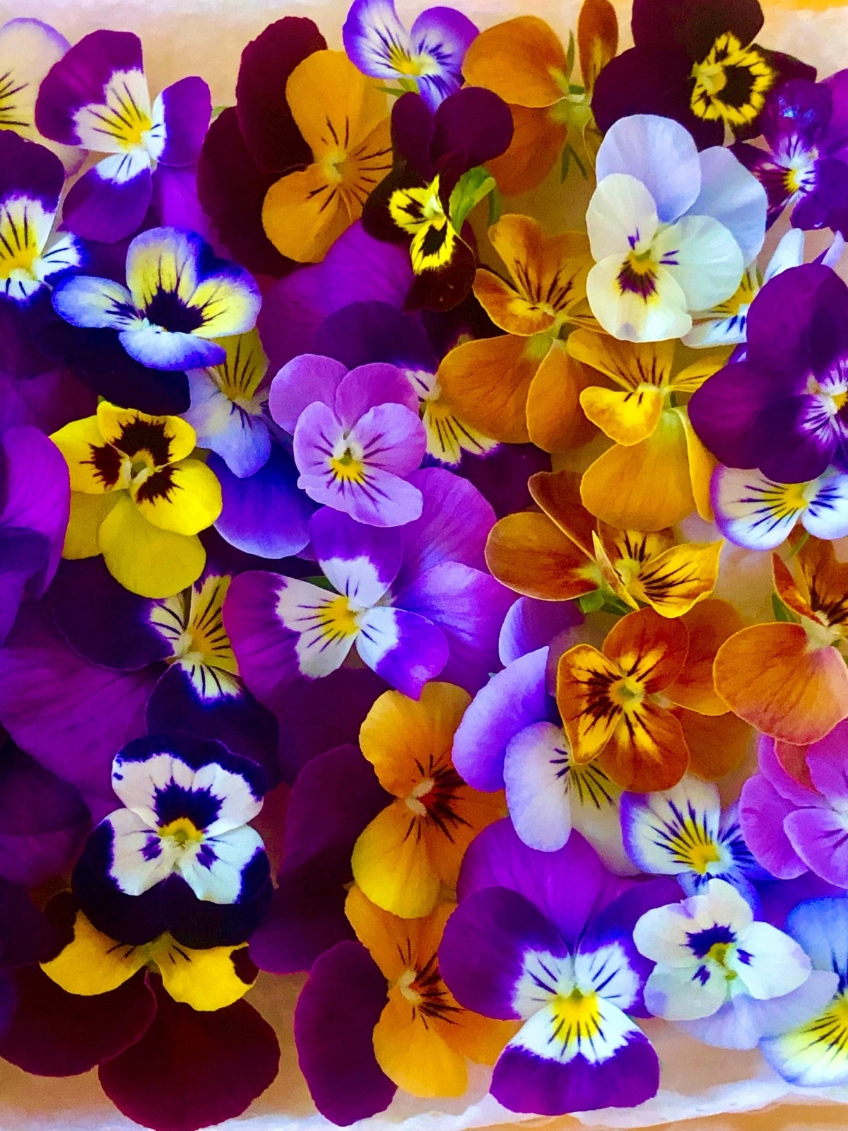 🌸 ПРИВЕТ, ДОРОГИЕ ДРУЗЬЯ! 🌼
Сегодня замечательный день, и я хочу поговорить с вами о съедобных цветах — фиалках! 💜 Эти маленькие красавицы не только радуют глаз, но и полезны для нашего здоровья | Сетка — социальная сеть от hh.ru