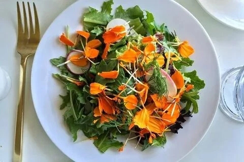 👋ПРИВЕТ, СЧАСТЛИВЫЕ МОИ! 🌸
Сегодня хочу рассказать вам о мире съедобных цветов микрозелени | Сетка — социальная сеть от hh.ru