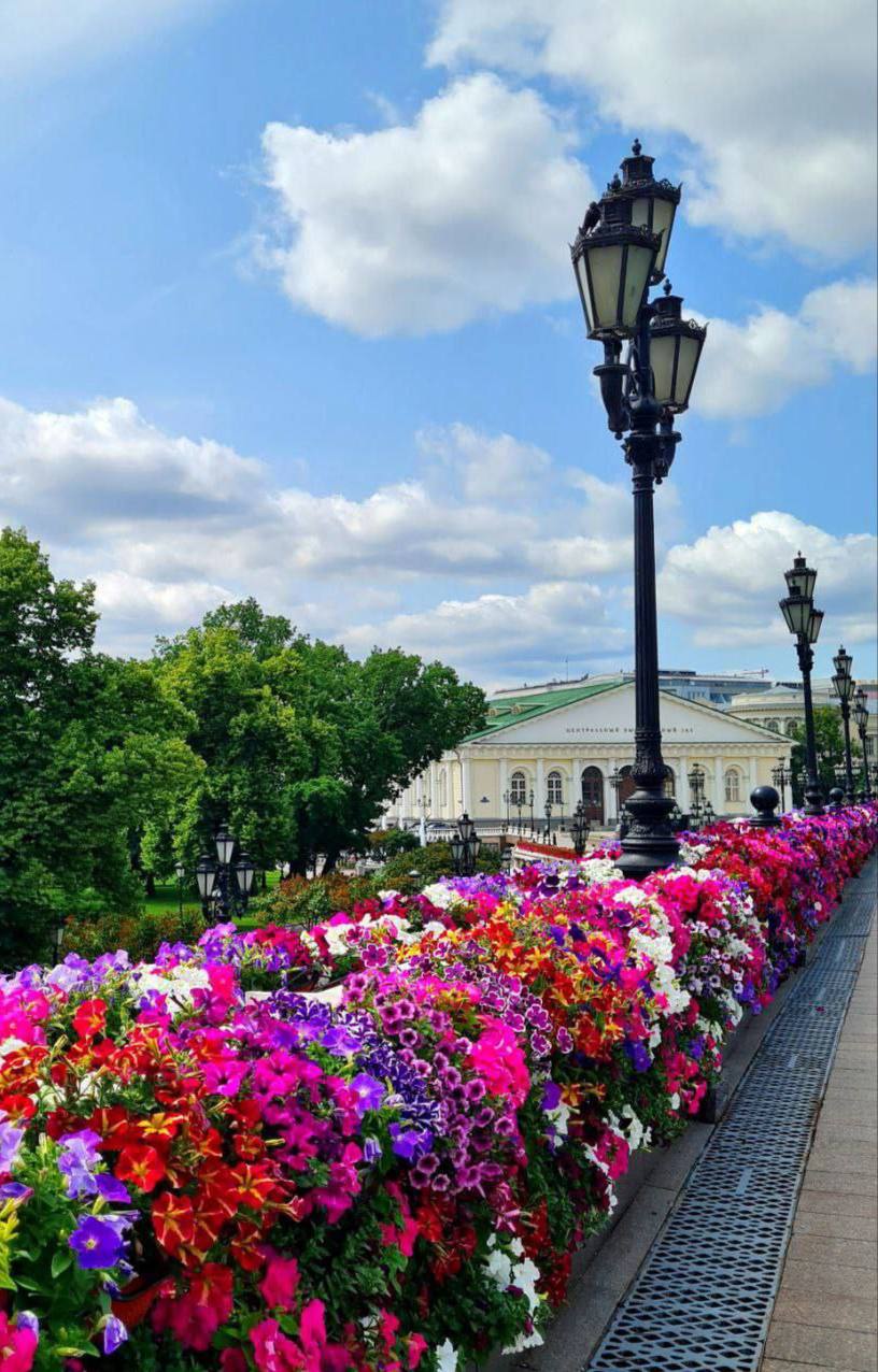 💐Красота на Манежной площади
📲Подпишитесь на Вдвижении
#бесплатно | Сетка — социальная сеть от hh.ru