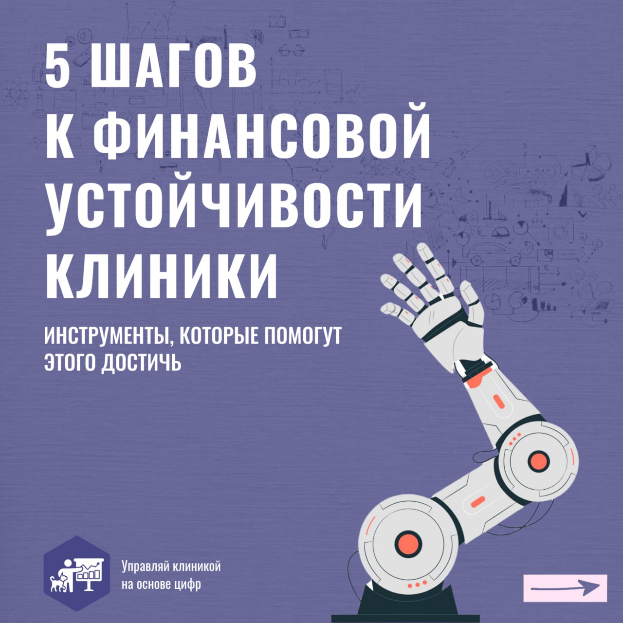 Финансовая стабильность ветеринарной клиники — звучит как что-то недостижимое. Но именно это состояние обеспечивает успешное развитие вашего дела | Сетка — социальная сеть от hh.ru