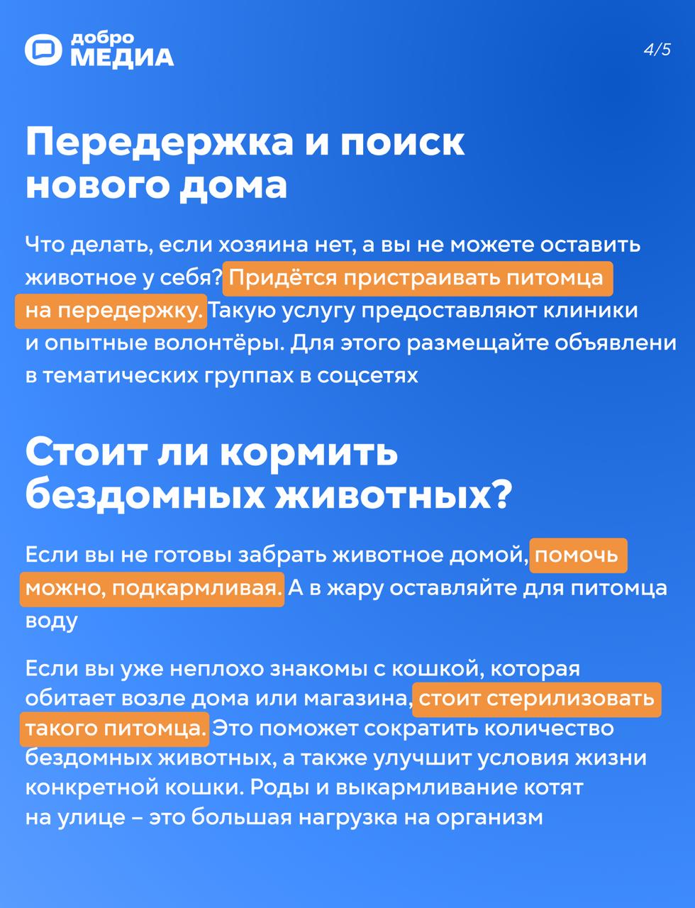 Нашли кота на улице: что делать?
Возвращаетесь домой, а у подъезда сидит кот. Или пёс. С виду домашний. Или не очень. Такая ситуация, кажется, может случиться с каждым | Сетка — социальная сеть от hh.ru